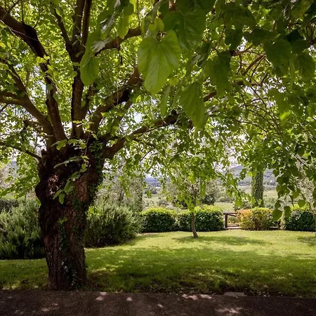 Willa Sleeps 4 Pool Wifi T571377